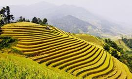 Cẩm Nang Du Lịch Mù Cang Chải - Kinh Nghiệm & Lịch Trình Gợi Ý