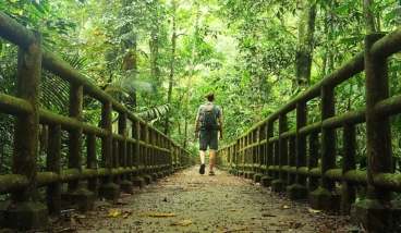 Du lịch Ninh Bình – Khám phá trọn vẹn vườn quốc gia Cúc Phương