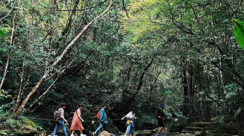 Du lịch Huế 1 ngày không thể bỏ qua: Trải nghiệm Huế trekking tới Vườn quốc gia Bạch Mã