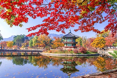 Kinh nghiệm du lịch Hàn Quốc đầy đủ từ A đến Z