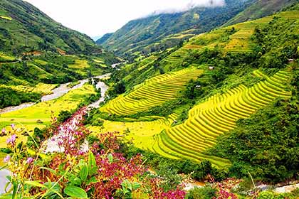 Top 3 tour du lịch Sapa trọn gói giá rẻ lãng mạn nhất dành cho các cặp đôi