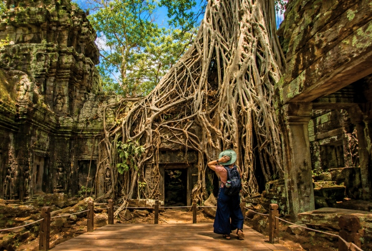 Rễ cây khổng lồ tại Ta Prohm trong hành trình du lịch Siem Reap Campuchia