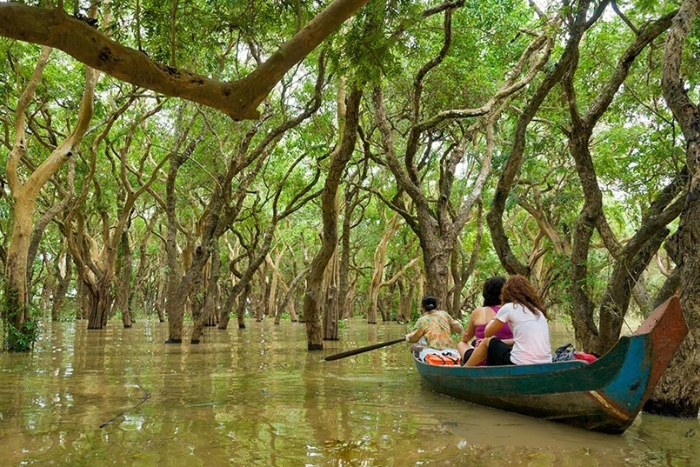 Hoạt động chèo thuyền khám phá rừng ngập nước ở hồ Tonle Sap rất đáng để thử
