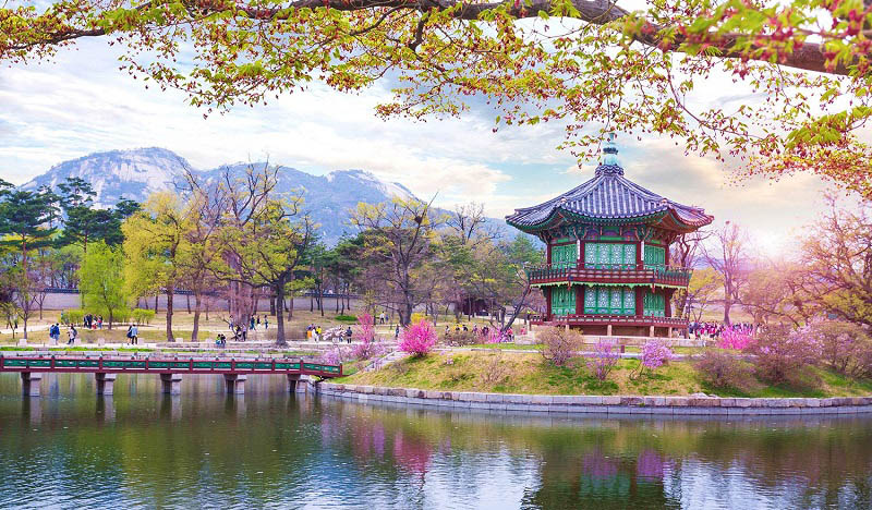 Du lịch Hàn Quốc - Trải nghiệm thú vị trong dịp tết nguyên đán 2020