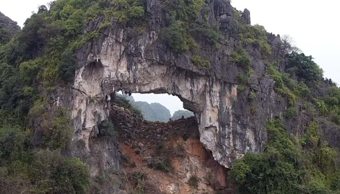 hang-trong