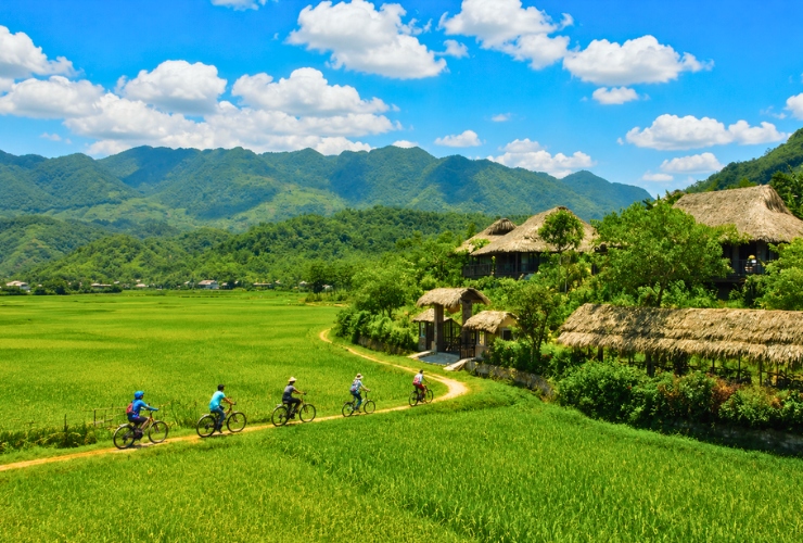 Đạp xe qua những cánh đồng lúa ở Mai Châu