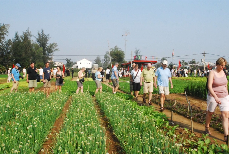 Trải nghiệm cuộc sống làng quê tại làng rau Trà Quế