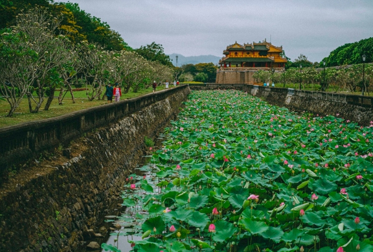 Dạo bước lãng mạn quanh hồ sen trong Đại Nội Huế