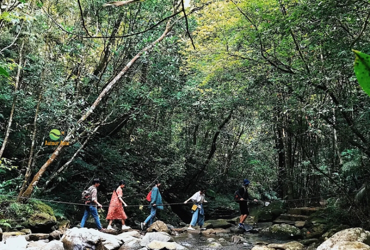 Du khách trekking khám phá vẻ đẹp Vườn quốc gia Bạch Mã