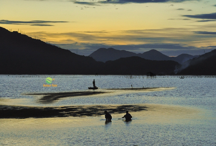 Khám phá Lăng Cô: Thiên nhiên, nét chân thực và cảnh quan ngoạn mục