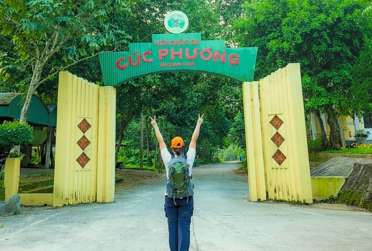 Nên làm gì ở Ninh Bình ? Hành trình chân thật đến vườn quốc gia Cúc Phương