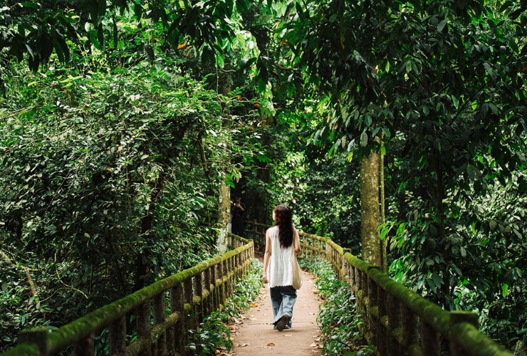 Nên đến Vườn quốc gia Cúc Phương, Ninh Bình vào thời gian nào ?