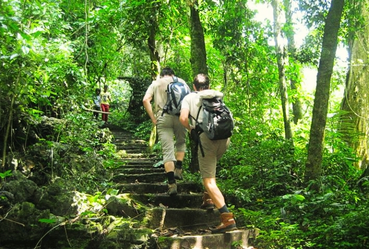 Khám phá những lối mòn cổ - Trekking giữa trái tim rừng Cúc Phương