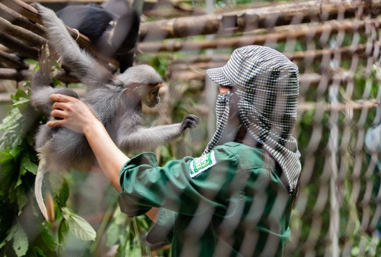 Khám phá trung tâm linh trưởng - Gặp gỡ các loài nguy cấp