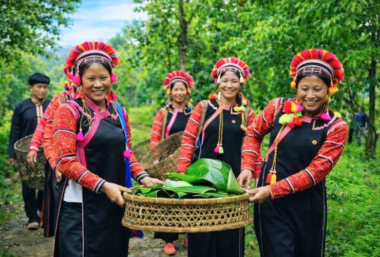 Người La Hủ ở Lai Châu và đời sống gắn với rừng