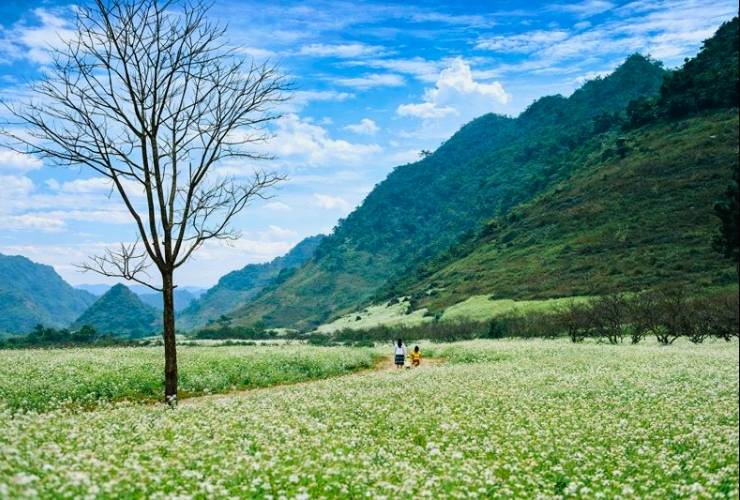 Du lịch Lai Châu: Trải nghiệm thiên nhiên và con người