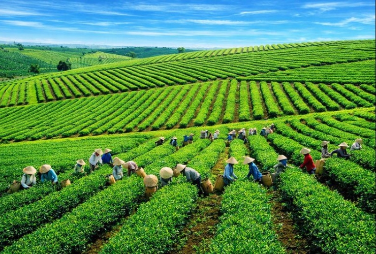 Lai Châu ngoài lối mòn - Gợi ý nên làm gì ở Lai Châu