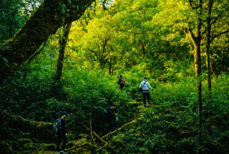 Trekking Pu Ta Leng - Thử thách đỉnh cao ở Lai Châu