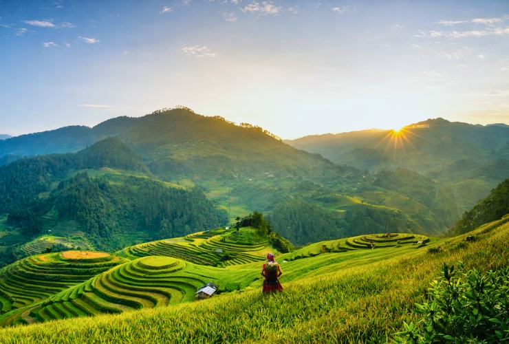 Ruộng bậc thang Sapa - Di sản sống của miền Bắc