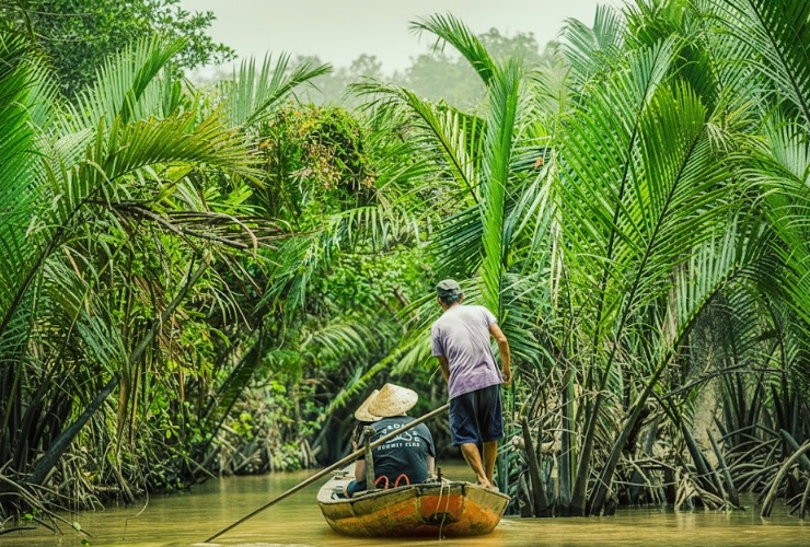 Ngồi thuyền khám phá kênh rạch miền Tây trong mùa mưa