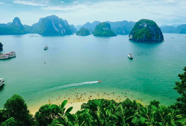 Toàn cảnh vịnh Hạ Long từ đảo Ti Tốp, góc nhìn biểu tượng của kỳ quan thiên nhiên