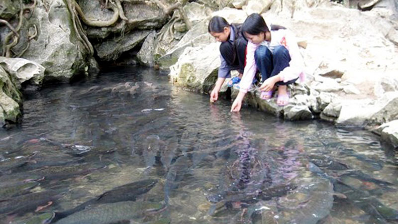 Có rất nhiều câu chuyện kỳ bí được người dân truyền tai nhau về suối cá thần ở Thanh Hóa