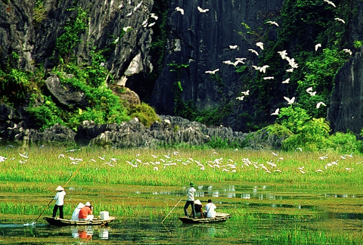 Ngắm chim ở Vân Long – Một trong những trải nghiệm thiên nhiên đáng thử nhất tại Ninh Bình