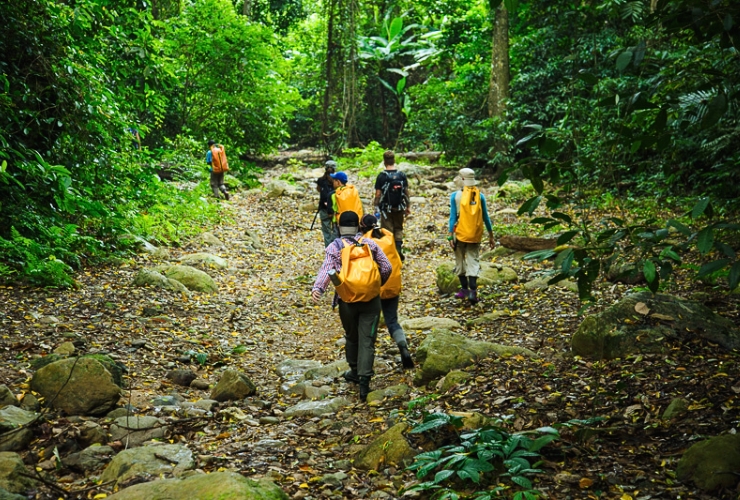 Trekking Vườn quốc gia Cúc Phương – Hành trình phiêu lưu khó quên ở Ninh Bình