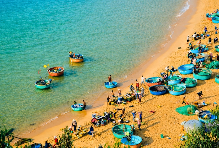 Quy Nhơn có gì chơi ? Hòa mình vào nhịp sống sôi động của làng chài Nhơn Lý