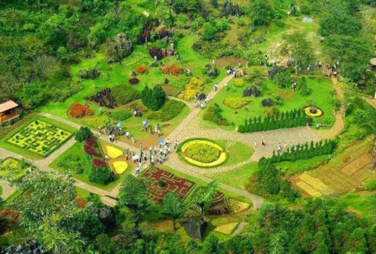 Một góc thiên nhiên ngập tràn hoa trên núi Hàm Rồng trong hành trình du lịch Sapa