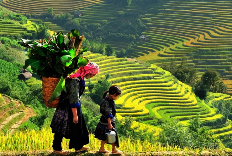 Vẻ đẹp bất tận của ruộng bậc thang Sapa, Việt Nam