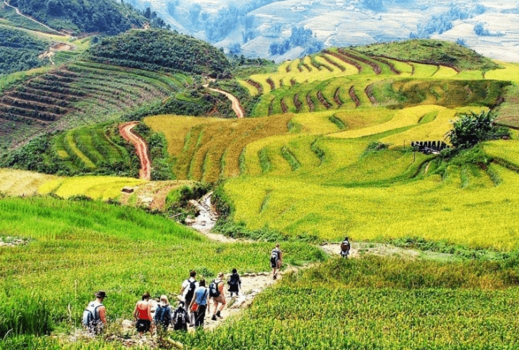 Sapa, Việt Nam – thiên đường núi rừng và ruộng bậc thang