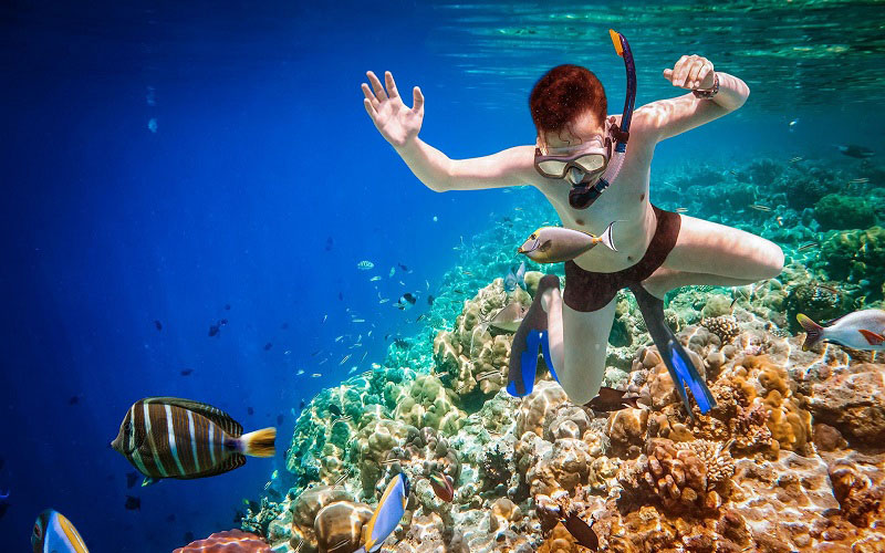 Lặn biển ngắm san hô và khám phá hệ sinh thái dưới đáy biển khi đi du lịch Maldives