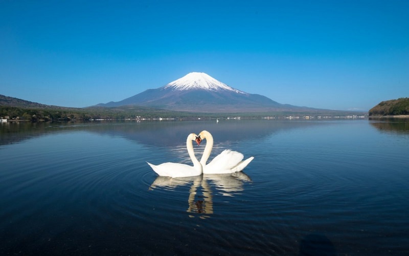 Chiêm ngưỡng vẻ đẹp của hồ Yamanaka - 1 trong Phú Sĩ Ngũ Hồ