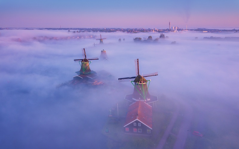 Thăm quan những cánh đồng cối xay gió khổng lồ ở Hà Lan