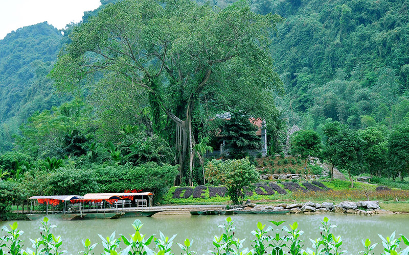 ​  Hang Bụt thuộc vườn chim Thung Nham có nhiều nhũ đá tự nhiên đẹp mắr  ​