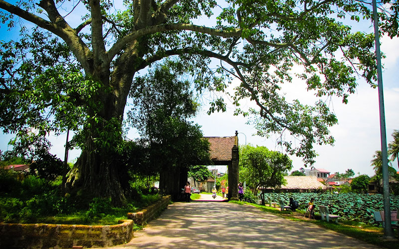Cổng làng cổ cùng với cây đa hơn 300 năm tuổi