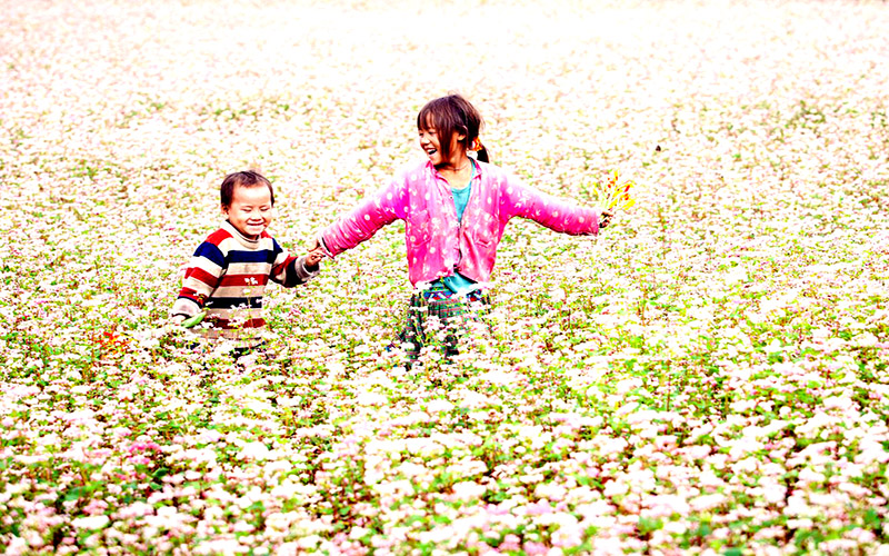 Nụ cười hồn nhiên trên cánh đồng hoa Tam Giác Mạch