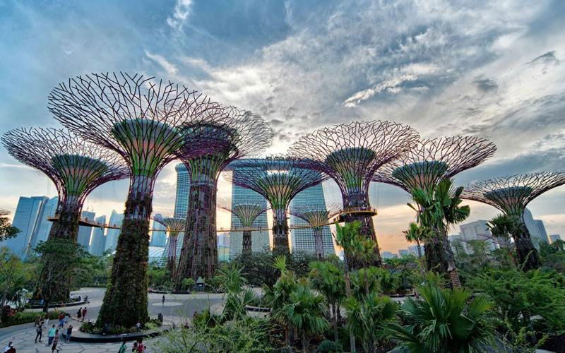 Du khách tham quan Garden by the bay - khu vườn sinh vật cảnh lớn nhất Singapore