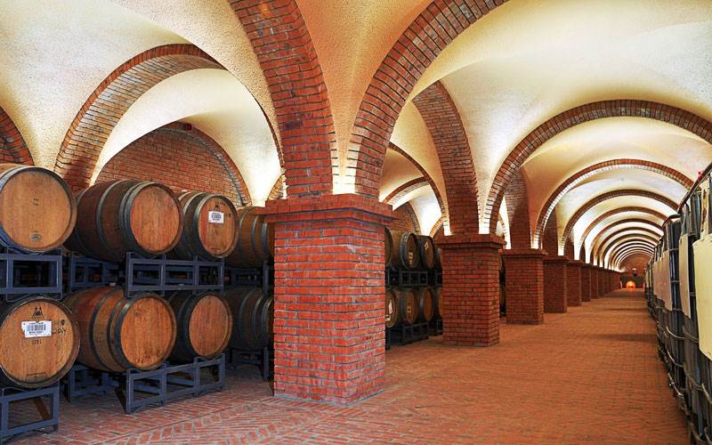 Du khách tham quan Lâu đài rượu vang RD với phong cách kiến trúc châu Âu cổ