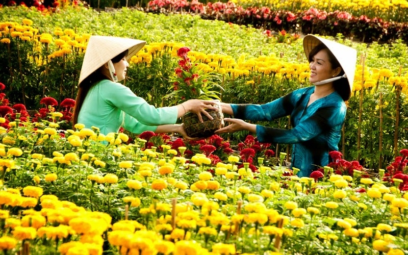 Du khách tự do khám phá làng hoa Tân Quy Đông xinh đẹp
