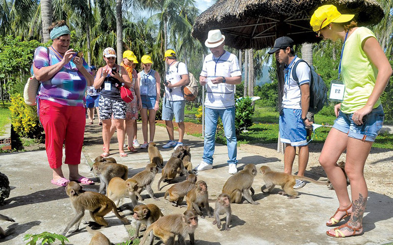 Du khách vui chơi cùng những chú khỉ tinh nghịch trên đảo Hòn Lao