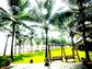 Palm Garden Beach Resort 