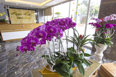Ngoc Hanh Beach Hotel