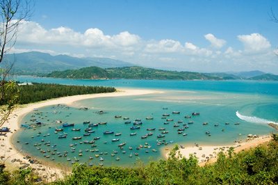 Tour du lịch Phú Yên 1 ngày | Tham quan Cầu gỗ Ông Cọp - Đảo Nhất Tự Sơn - Khu du lịch Vịnh Hòa