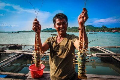  Chương trình tour du lịch Nha Trang: Tham quan Đảo Bình Ba | 1 ngày 