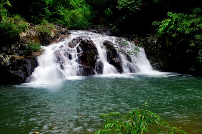 Tour Nha Trang giá rẻ: thăm quan thác Yangbay | 1 ngày 