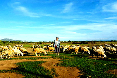 Chương trình thăm quan Đồng Cừu - Hang Rái - Vườn Nho - Bình Hưng - Bình Lập | 1 ngày