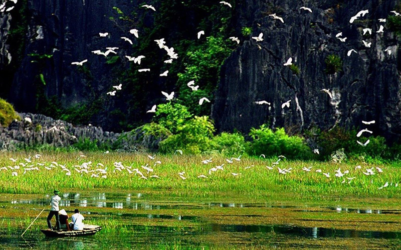 Lạc vào thế giới loài chim đẹp ngỡ ngàng tại Vườn chim Thung Nham 